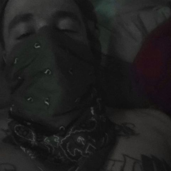 Meet your Posher, William - Picture 1 of 1